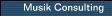 Musik Consulting