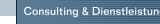 Consulting & Dienstleistung