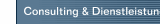 Consulting & Dienstleistung